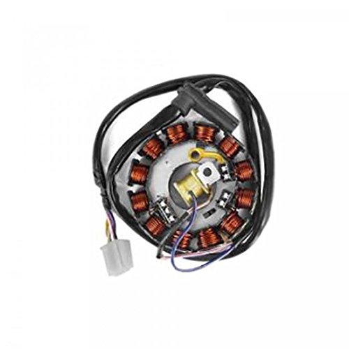 Stator d allumage TNT Yamaha TZR 50 après 2007 alternateur allumage am6