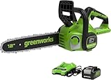 GreenWorks