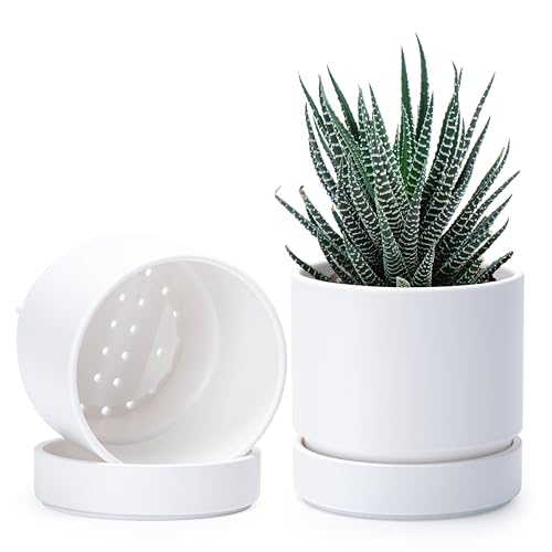 Phoenix Vine 4 Inch Planter Pot with Drainage Hole & Saucer, Deep Water Catch Tray, Straight Cylindrical Round Pot for Plants, Matte White, Pack of 2, 23-B-R-2