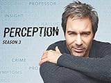 Perception Season 3