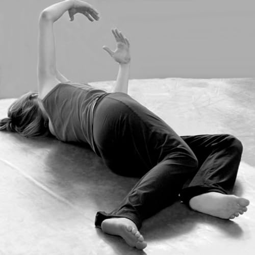 『Leçon de Feldenkrais avec Annlyse』のカバーアート