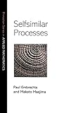 Selfsimilar Processes (Princeton Series in Applied Mathematics)