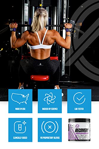 Outwork Nutrition Recovery Supplement - Post Workout Recovery Drink & Muscle Builder - Backed By Science (240 Grams) (Gummy Bear Burst, 8.46) #TOP4