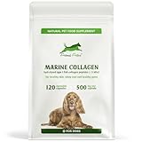 Animal Active Marine Collagen for Dogs, Supports Dry and Itchy Skin, Shiny Coat & Healthy Gums, Premium Micronised Collagen Peptides, Skin Health Dog Supplement, 120 x 500mg Open & Sprinkle Capsules - Image 1
