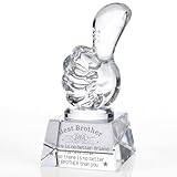 Crystal Thumbs Up Trophy Award – “Best Brother” Appreciation Gift, Clear Glass Desk Plaque, Recognition Award for Home, Office, Friends, Colleagues, Motivational & Encouragement Gift(Best Brother)
