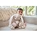 Bearington Boomer The Stuffed Bunny, 10.5 Inch Stuffed Bunny Plush