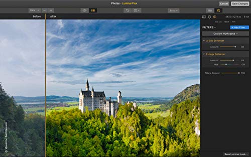 Skylum B07RH93P1S_CA NARF Luminar Flex - Ai-Powered Photo Editing Plug-In thumb #5