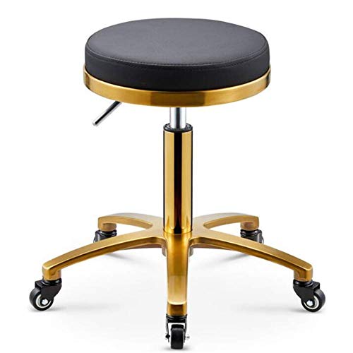 RWRAPS Sedia Rotonda Multiuso Sgabello Girevole Regolabile Idraulico con Ruote per Home Office Beauty Barber Salon Facial Spa,C (G)