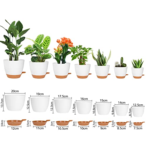 CSYY Plant Pots Indoor, 7Pack Plastic Plant Pots 20.3/19/17.7/16.5/15.2/14/12.7cm - Image 2