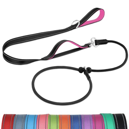 Joytale Tangle-Free Slip Leads for Dogs, 6 FT Slip Leash with Padded Double Handle, Reflective Nylon Training Leash for Small Medium Dogs 15-40 Lbs, Black/Hot Pink