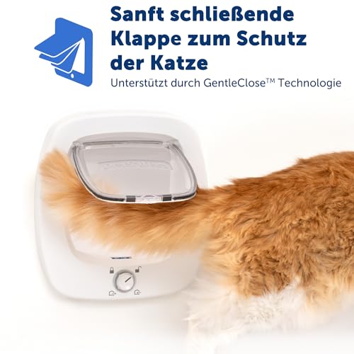 PetSafe Große Katzenklappe - Für Türen im Innen- & Außenbereich - 4 Verschlussoptionen & Sanft Schließende Klappe - Für Katzen & Kleine Hunde