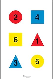 Discretionary Command Training Target (Version 2-A) (50 Pack)