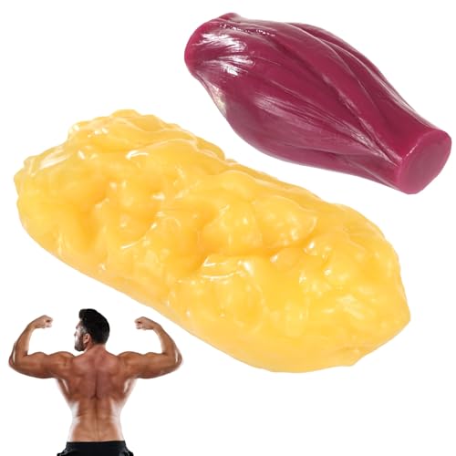 Modelo ultra realista de anatomía muscular y grasa humana de 2.2 libras