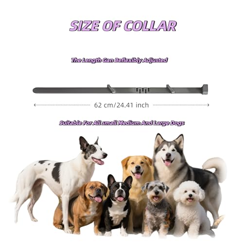 Image of Calming Collar for Dogs, Relieves Anxiety, Adjustable Design, Suitable for All Dogs with Barking, Biting, Scratching, and Insecurity (Gray, 1 Count)