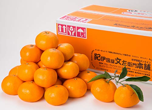 R_@Lc݂yrTCYzTkg[60`65]yIMtg=ԏGza̎RLcSLc쒬YEIɍq{ܔF̗Lc݂