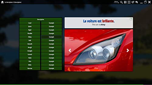 image for Ouino Languages Learn French with OUINO: New Improved Edition v4 | Lif