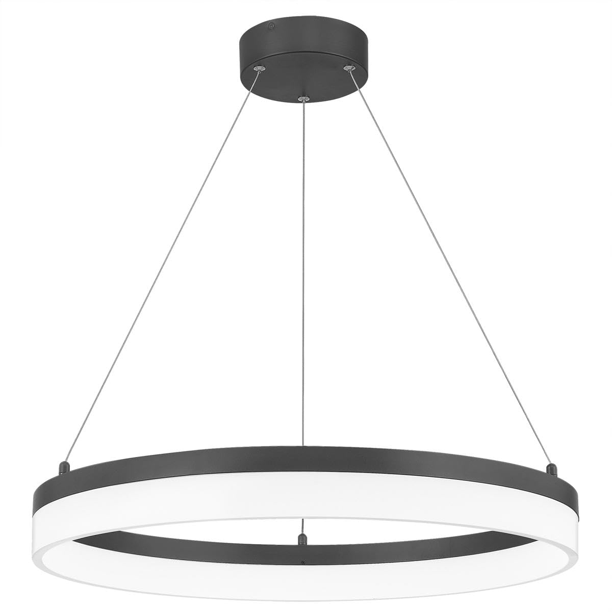 Quoizel PCOH2824OI Cohen LED Ring Pendant Ceiling Lighting, 1-Light, 34 Watt, Oil Rubbed Bronze (3"H x 24"Dia)