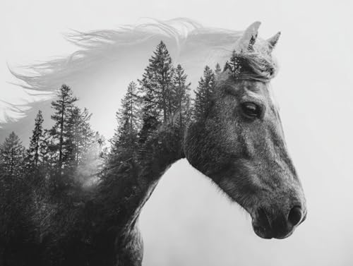 大人のための数字油絵キット DIY 抽象馬 油絵セット 70x90cm アクリル絵の具 筆 ブラシ/フレームレス癒し ストレス解消 趣味 プレゼント- 集中力とリラックス効果、インテリアとして、贈り物に最適、脳トレにも、デコレーション、簡単、人気、ギフトに