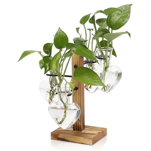 植物繁殖ステーション 植物テラリウムキット ガラスプランター 屋内植物 観葉植物アクセサリー 女性へのギフト-4ラブバルブ花瓶の商品画像（Amazon）