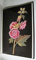 MRS DELANEY HER LIFE AND HER FLOWERS B000M23TA4 Book Cover