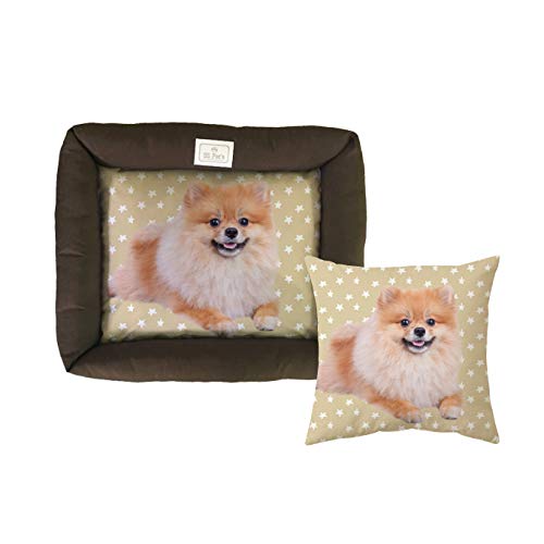 Cama e Almofada Spitz Pet para Cães SS Pets para Cães