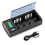 POWXS Universal LCD Rechargeable Battery Charger Discharger for 1.2V C D AA AAA 9V NiMH NiCD Batteries, USB and Type C Input (Included USB Cable)