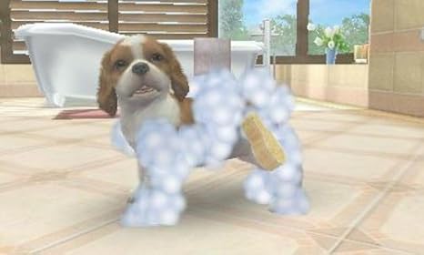 Amazon Com Nintendogs Cats French Bulldog New Friends Japan Import Video Games