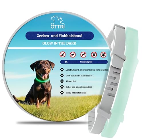 Zeckenhalsband für Hunde und Katzen | Leuchtendes Präventionshalsband gegen Parasiten mit bis zu 8-Monatigen Schutz | Fluoreszierendes Halsband universell auf Jede Größe verstellbar