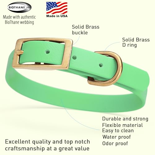 Image of Viper Biothane Heavy Duty Waterproof Dog Collar Strong Coated Nylon Webbing w /Solid Brass Hardware Odor-Proof Easy to Clean High Performance Fits Small Medium or Large Dogs, Sea Foam Green