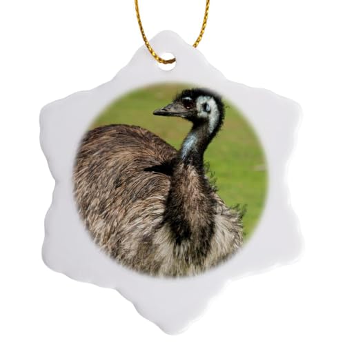 3 inch Snowflake Porcelain Ornament - Australia, South Australia, Adelaide. Large Flightless Emu. Birds