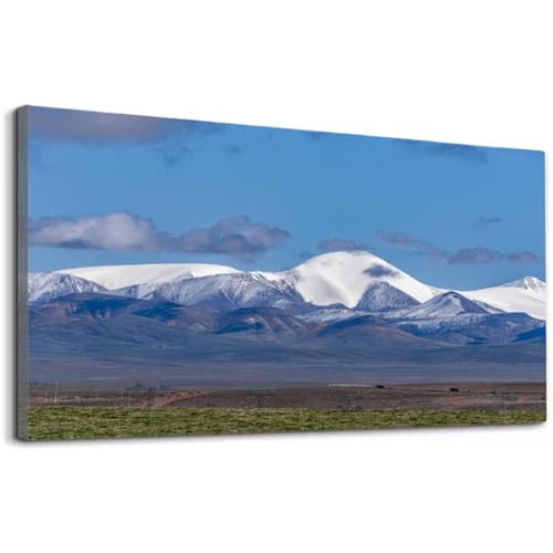 Wibinuki Wall Art Wall Decor Wall Paintings The land on the clear pleau and the distant snow capped mountains for Living Room Bedroom Bathroom Home Decor Can Be Hung Directly 20"x 40"