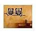 Owl Tree Branch With Birds Decal Nursery Wall Decor Art Vinyl Sticker ( package Come with glowindark switchplate decal)