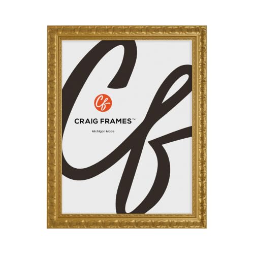 Craig Frames Bravado, 12x16 Picture Frame, Gold