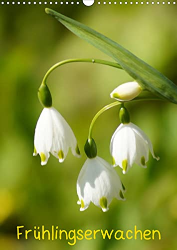 Preisvergleich Produktbild Frühlingserwachen (Wandkalender 2022 DIN A3 hoch)