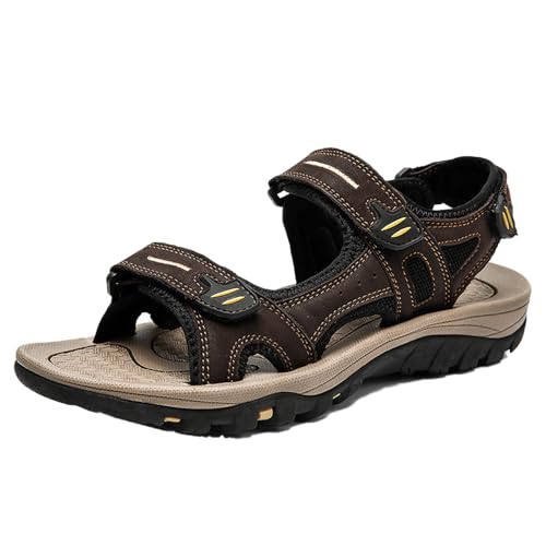 [Dong] r[`T_ h Y AEghA T_ X|[c T_ Xbp p _[NuE ItBXT_ JWA Ռz amp 26.0cm I[vgD ʋC  v[ C    I[vgD