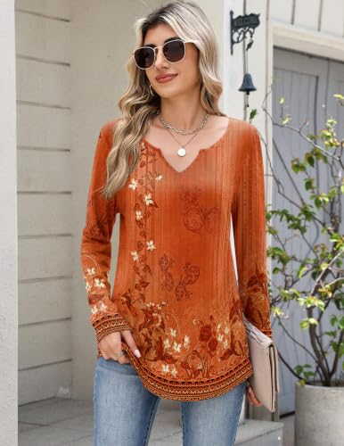 Image of Zeagoo Spring Tops for Women Long Sleeve Shirt Summer Casual Dressy Blouse V Neck Tunic Vacation Clothes 2026 Outfits