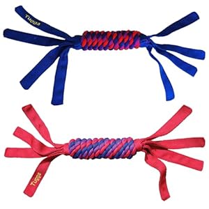 KONG Tugga Wubba Dog Toy [Set of 2] Size: Large