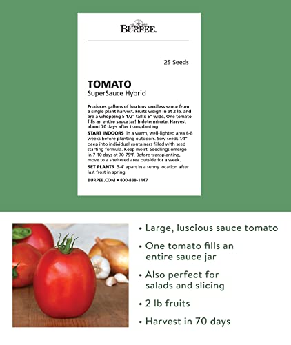Burpee Exclusive 'Supersauce' Hybrid 25 Non-Gmo Large Red Sauce & Paste Tomato Variety | Vegetable Seeds For Planting Home Garden #TOP1