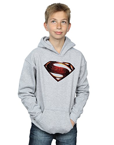 DC Comics Boys Justice League Movie Superman Emblem Hoodie 12-13 years Sport Grey