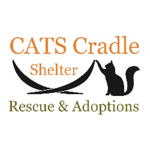 Cats Cradle Has Secured a "Forever Home"