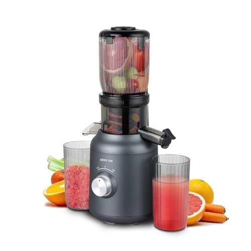 Green Lion Slow Juicer, 250W Pure Copper Motor, Wide Chute, High Juice Yield, Automatic Separation of Slag and Juice, Slow Masticating Juicer for Vegetables & Fruits, low Noise Juice Extractor