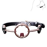 Metall Mundspreizer BDSM Knebel aus Leder Ring Gag Mundknebel für Bondage Fetisch Erotikspielzeug mit verstellbarem Kopfband diskrete Verpackung