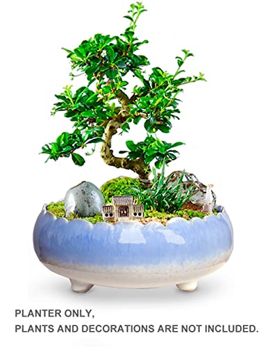 Dahlia 8.3'' Inch Large/Shallow/Wide Drip Glazed Ceramic Planter/Succulent Pot/Plant Pot, Blue - Thumbnail 3