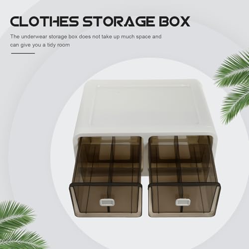 Boîte de rangement pour sous-vêtements CANIGHT marron en PP à deux compartiments