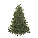 Triumph Tree