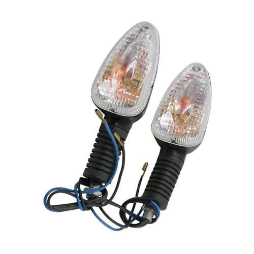 1 paire de clignotants LED moto pour rouler en sécurité de nuit sur R1150R R1100GS