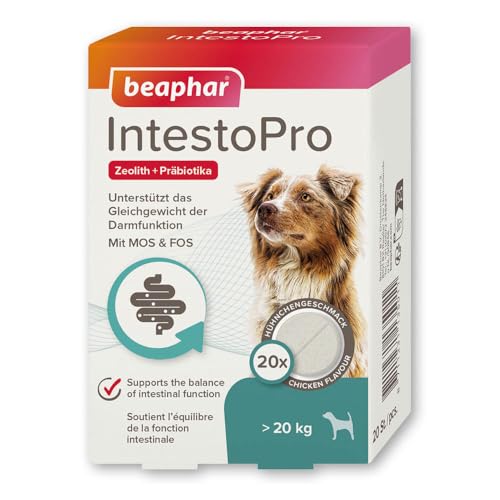 BEAPHAR - IntestoPro Tabs Für Große Hunde - Mit Zeolith - Mit MOS & FOS - Unterstützt Das Gleichgewicht Der Darmfunktion - 20 Stück
