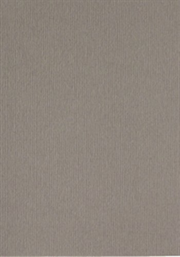 Papicolor 210 x 297 mm, formato A4 Mause Grey