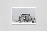 Wall Art Poster Print of Beautiful Russian Blue Cat With Funny Emotional Muzzle Lying on Keayboard of Notebook and Relaxing in Home Interior on Gray Background. Breeding Adorable Gray Kitten With