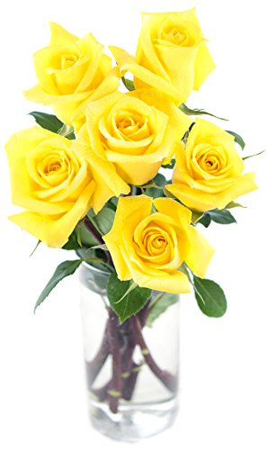 KaBloom - Bouquet of Long Stemmed Yellow Roses (Half Dozen) - With Vase - Fresh Flowers for Birthday, Valentine's & Mother's Day